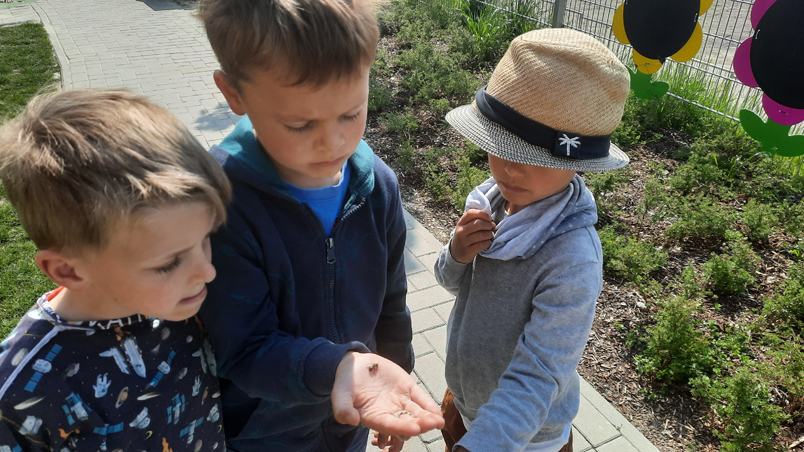 Drei Kinder mit Biene auf der Hand