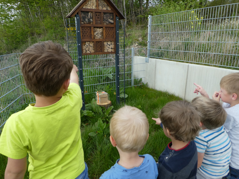 Kinder betrachten das Bienenhotel