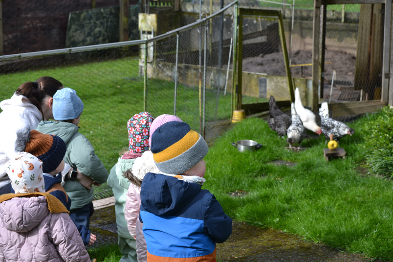 Kindergruppe beobachtet mehrere Hühner